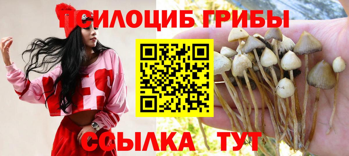 Галлюциногенные грибы мицелий  Вход с VPN  Кузнецк  Псилоцибиновые грибы прущие грибы 